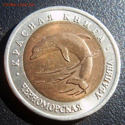 Красная книга 50 руб 1993 Черноморская афалина до 14.08 - афалина 1