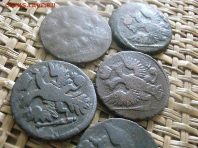 Деньга, 5 шт. 1740, 1743, 1744, 1745, 1747. До 18.08.2016г - 18.08 031.JPG