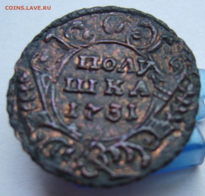 Полушка 1731 до 14.08 в 22-00 - P1020783.JPG