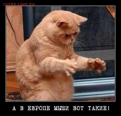 Про США - 0 tt67
