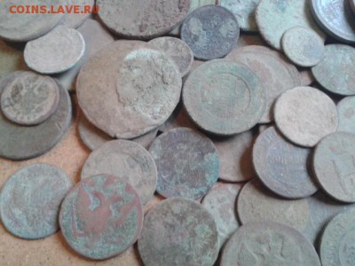 Медь-100шт - 20160812_143703