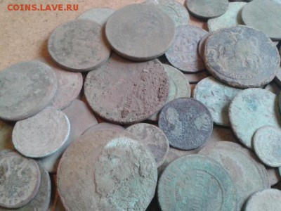 Медь-100шт - 20160812_143711