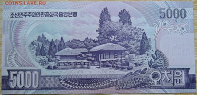 СЕВЕРНАЯ КОРЕЯ - 5000 вон 2006 г. пресс до 19.08 в 22.00 - DSCN6571