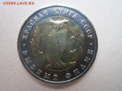 10 руб кк 1991 филин до 18.08.2016 в 22:00 - IMG_0413.JPG