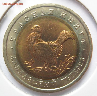 Красная Книга 1993 (50 руб., 5 шт.) до 17.08.16, 22-00 МСК - К93_03