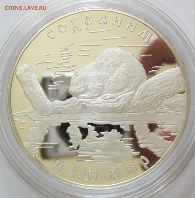 25 руб. 2008 Речной бобр - до 17.08 22-00 МСК - Бобр_01