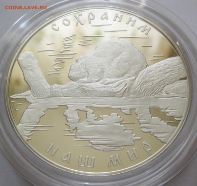 25 руб. 2008 Речной бобр - до 17.08 22-00 МСК - Бобр_02