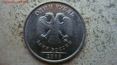 Вопросы по разновиднстям от сахарок - DSC06886.JPG