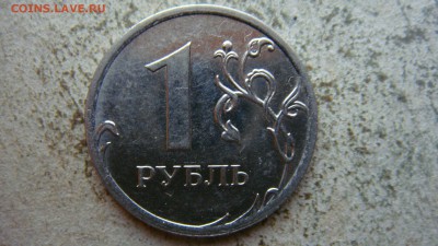 Вопросы по разновиднстям от сахарок - DSC06885.JPG