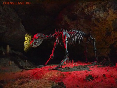 А кости-то настоящие - Скелет