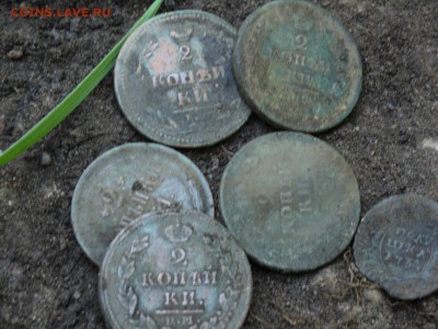 Покапушки от Макса. -10 коп Павла 1-1798-сп ом. - IMG_20160518_222941