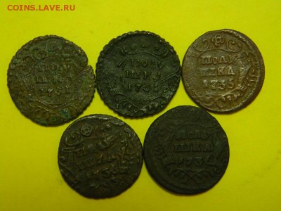 5 полушек - DSCN8966.JPG
