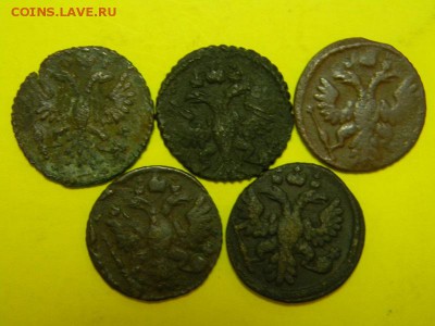 5 полушек - DSCN8967.JPG