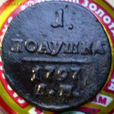 поАушка 1797 ам.до 18 08. 22.30 мск - P1012033.JPG