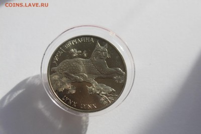 Украина 2 гривны 2001 Рысь UNC до 19.08.16 в 22:00 - IMG_3838.JPG