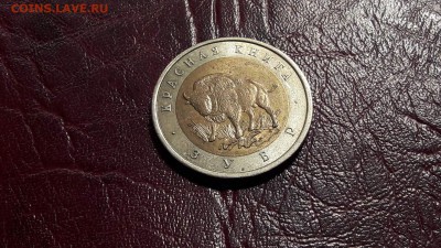 Зубр.  До 20.08. - IMG_20160815_201942_7