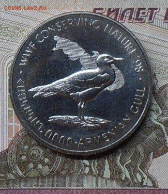 Лот 2 монеты Армении: Чайка 1998 г и Выдра 1997 г. - P8150073.1