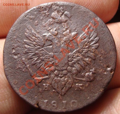 2 коп. 1810 ЕМ-НМ пчела до 6.12 23.00 - DSC07527.JPG