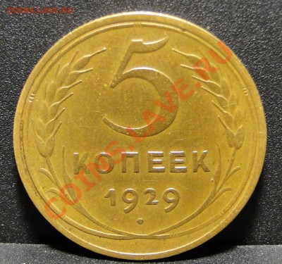 5 копеек 1929г  -Отличный!!!-  до 4.12 в 22.00 мск - DSC05206.JPG