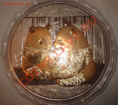 Сколько стоит сейчас такая монета 2009. Серебро. 1000g - DSC00075.JPG
