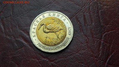 Аист. Красная 93 года. 20.08. - IMG_20160816_233657_21