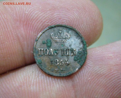 Полушка 1854 - 21-08-16 - 23-10 мск - 3