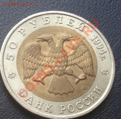 Красная книга Джейран 1994 до 7.12.10 (21-00) - джейран ав.JPG