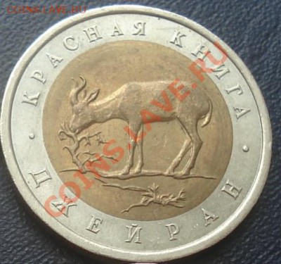 Красная книга Джейран 1994 до 7.12.10 (21-00) - джейран рев.JPG