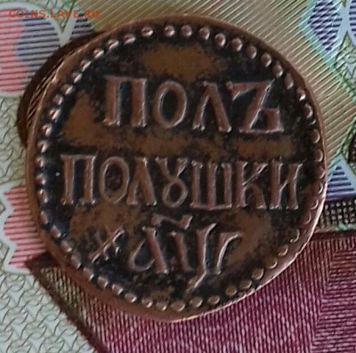 Полуполушка петра 1 - 20160818_121309-1-1