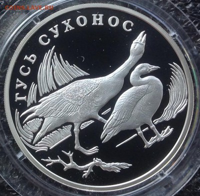 Тритон и гусь 1 рубль 2006 год до 20.08 в 20.45 - image