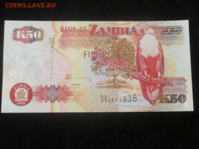 Замбия 2009 50 квача до 20.08.16 - IMG_9172.JPG