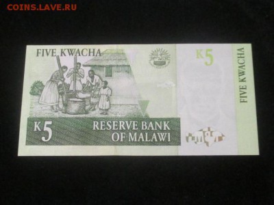 Малави 2005 5 квача до 20.08.16 - IMG_9213.JPG