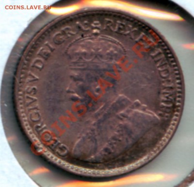 L69 5¢ Ньюфаундленд 1929 F_VF до 08.12 в 22°° - L69 NFLD 1929 F_VF_2