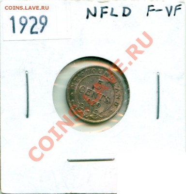 L69 5¢ Ньюфаундленд 1929 F_VF до 08.12 в 22°° - L69 NFLD 1929 F_VF_3