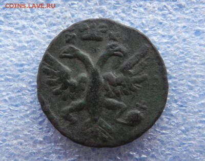Денга 1731.Пьяный орёл.Оценка - DSCN3616.JPG