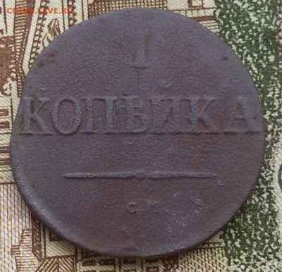 Оценка копейка 1831 СМ - 20160804_160006