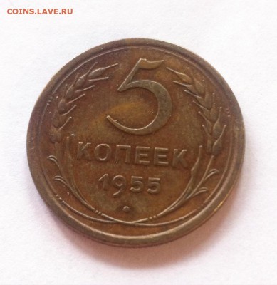 5 копеек 1955г. до 26.08.16г. - 555-8.JPG