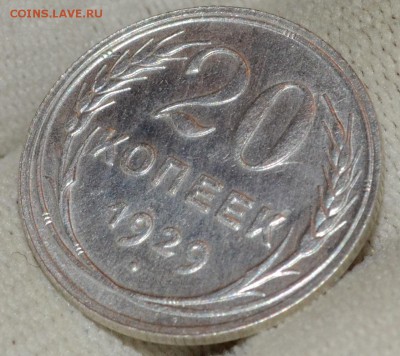 20 копеек 1929, до 25.08.16 22:00 по МсК - DSC_2152.JPG