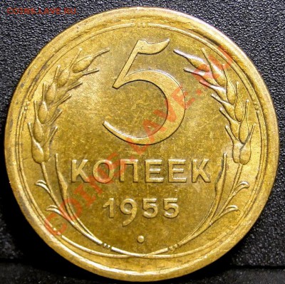 5 копеек 1955 год Отличная до 7.12.2010 в 22.00мск - DSC05244.JPG