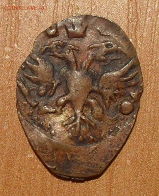Копейка 1716 НДЗ и полушка ВРП 1720 года - SDC15042.JPG