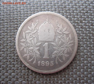 1 крона 1895 г., Австрия. До 23.08.2016 г 22.00 мск. - IMG_2691.JPG