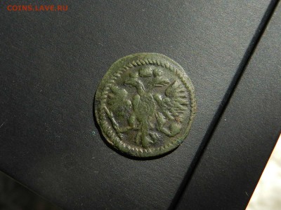ВРП полушка 1718-1719(Волосатый орел) центровка - о 25.08.16 - DSCN9171