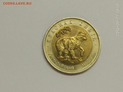 4 монеты КК 1993 1994 Тетерев Медведь Зубр до 26.08 с 200р - hCMkMY8tGu0