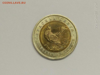 4 монеты КК 1993 1994 Тетерев Медведь Зубр до 26.08 с 200р - acF_vHGsu2w