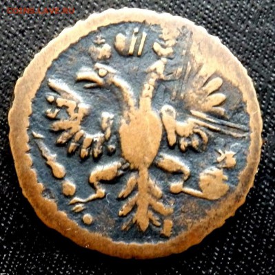 полушка 1734 года оценка - P8230207.JPG