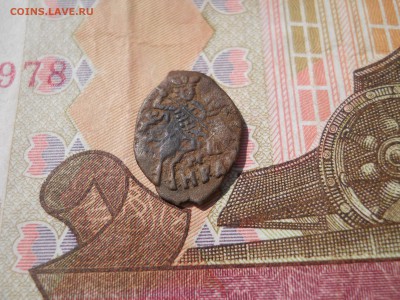 Медная чешуя на определение - DSCN0017.JPG