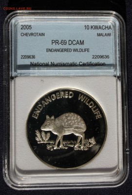 С 1 руб. МАЛАВИ 10 KWACHA 2005г. ТАПИР В СЛАБЕ пруф до 29.08 - IMG_2968.JPG