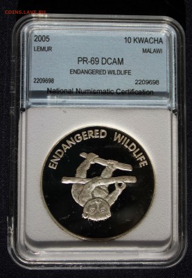 С 1 руб. МАЛАВИ 10 KWACHA 2005г. ЛЕМУР В СЛАБЕ пруф до 29.08 - IMG_2964.JPG