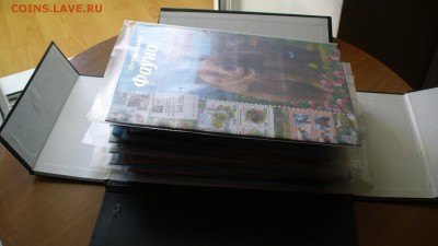Современные марки РФ - помогу купить по номиналу. - P1170739.JPG