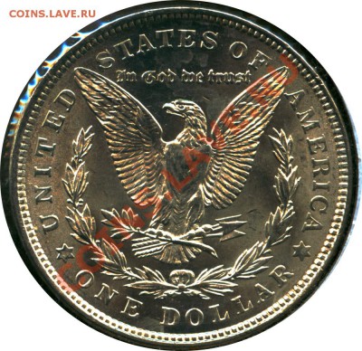 Морган 1921 Brilliant Uncircultaed. Предпродажная оценка. - Morgan Dollar 1921 BU_2